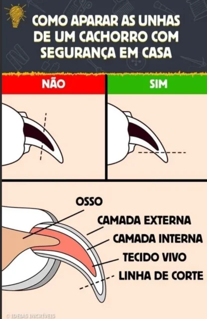 Cortador de Unha Pet Caramelo™ – Alicate Ergonômico para Cães Médio e Grande – Corte Seguro com Limitador - Imagem 5