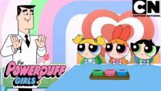 As Meninas Superpoderosas não têm descanso | As Meninas Superpoderosas | Cartoon Network 🇧🇷
