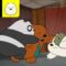 Cemzinho | Ursos sem Curso | Cartoon Network