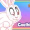 Coelhinho – Galinha Pintadinha – OFICIAL