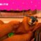 DESPERTANDO O GRIZZY | GRIZZY & THE LEMMINGS | CARTOONITO