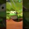 GRIZZY SE ASSUSTA COM UM SAPO | GRIZZY & THE LEMMINGS
