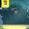 Lulinha | Ursos sem Curso | Cartoon Network