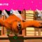 OS LEMMINGS CELEBRAM E NÃO QUEREM GRIZZY PRESENTE | GRIZZY & THE LEMMINGS | CARTOONITO