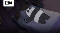 PANDA BUSCA UM NOVO AMIGO POR MEIO DE UM APLICATIVO | URSOS SEM CURSO | CARTOON NETWORK