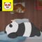 Panda no quarto de Pardo | Ursos sem Curso | Cartoon Network