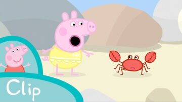 Peppa Pig Episodes – Rock pools (clip)