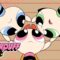 Quando o bem sempre triunfa sobre o mal | As Meninas Superpoderosas | Cartoon Network 🇧🇷