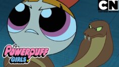 Tudo, menos uma tarde normal | As Meninas Superpoderosas | Cartoon Network 🇧🇷