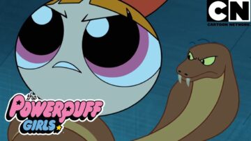 Tudo, menos uma tarde normal | As Meninas Superpoderosas | Cartoon Network 🇧🇷