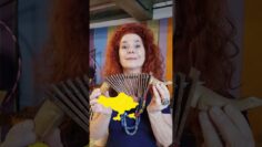 Um lagarto como instrumento? 🎶🦎
