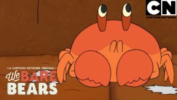 Um novo amigo com pinças: Quem é o Capitão Caranguinho? | Ursos sem Curso | Cartoon Network