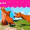 URSA FICA EM PERIGO | GRIZZY & THE LEMMINGS | CARTOONITO