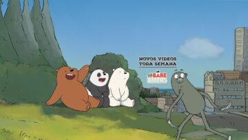 Ursos sem Curso Live Stream